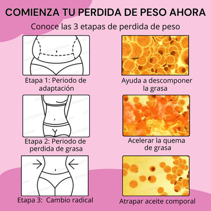 Ginger Tonic™️ | Reduce Centímetros y Define Tu Figura